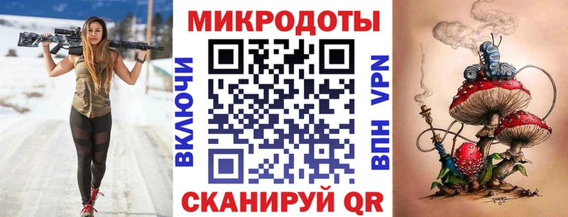 kraken ССЫЛКА  как найти закладки  Сергач  Галлюциногенные грибы Psilocybine cubensis 